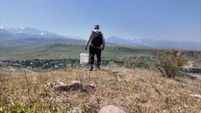 🌿 На охоте за целебными растениями!
