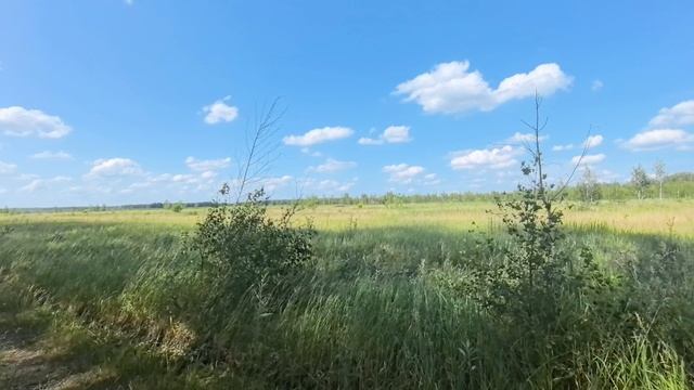 Усть-Заостровка