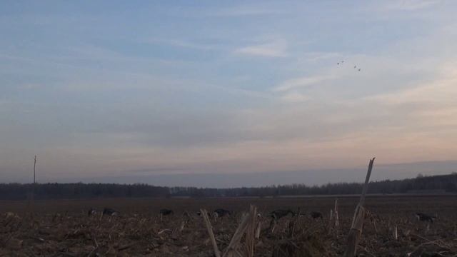 1000146082.mp4