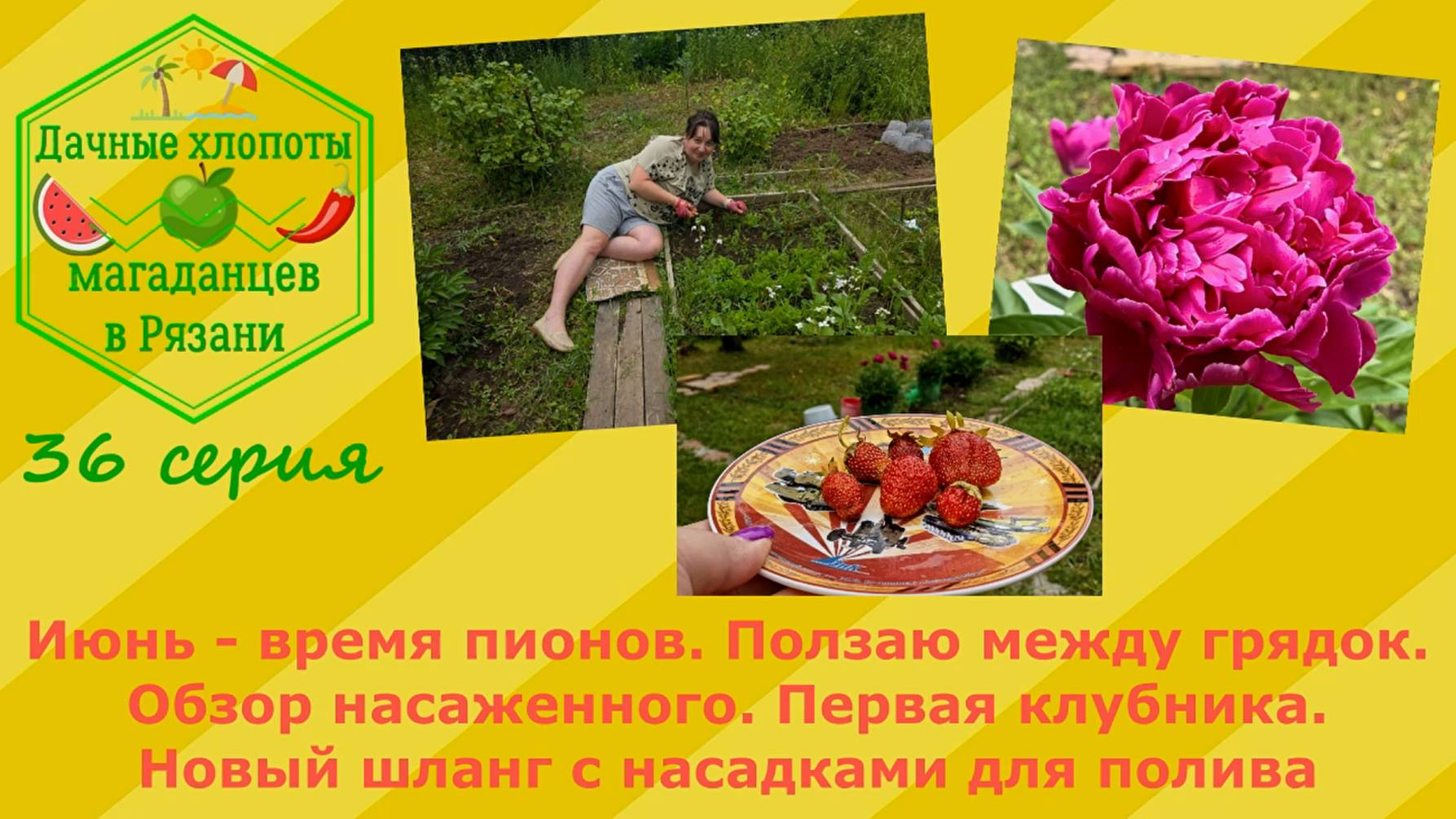 Время пионов.Ползаю между грядок.Обзор насаженного.Первая клубника.Новый шланг с насадками.36 серия