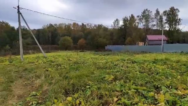 З/у с к. н. 50:28:0100304:420, расположенный по адресу: МО, г. о. Домодедово, с. Растуново