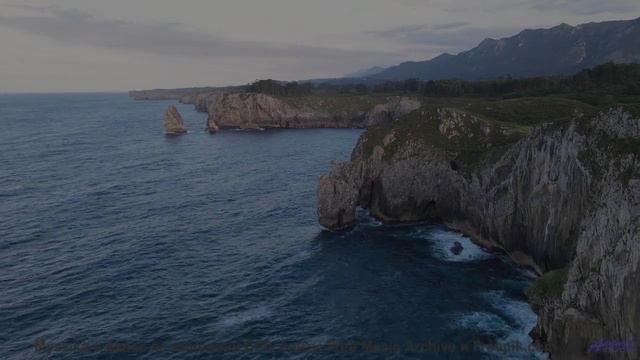 Он заставит тебя верить в чудеса снова! - false start -- los pilotos -- starfish