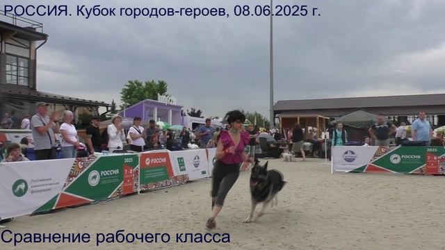 Сравнение рабочего класса
