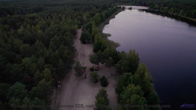 Вы не поверите, что это реальность - пока не услышите! - Terrible Art -- Krestovsky -- Song of the M