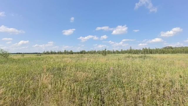 Усть-Заостровка