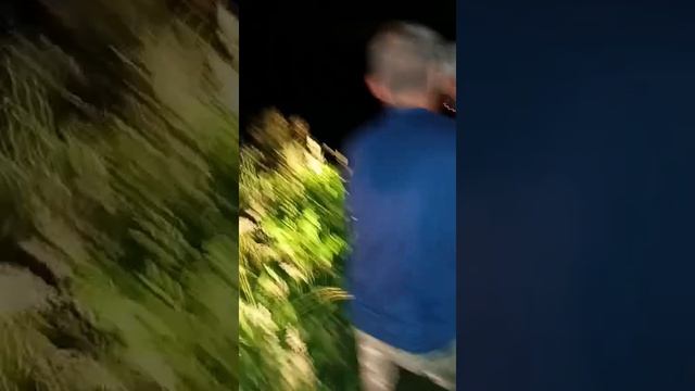 Зарыбление линем!!!