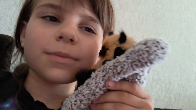самые мимимишные котики
