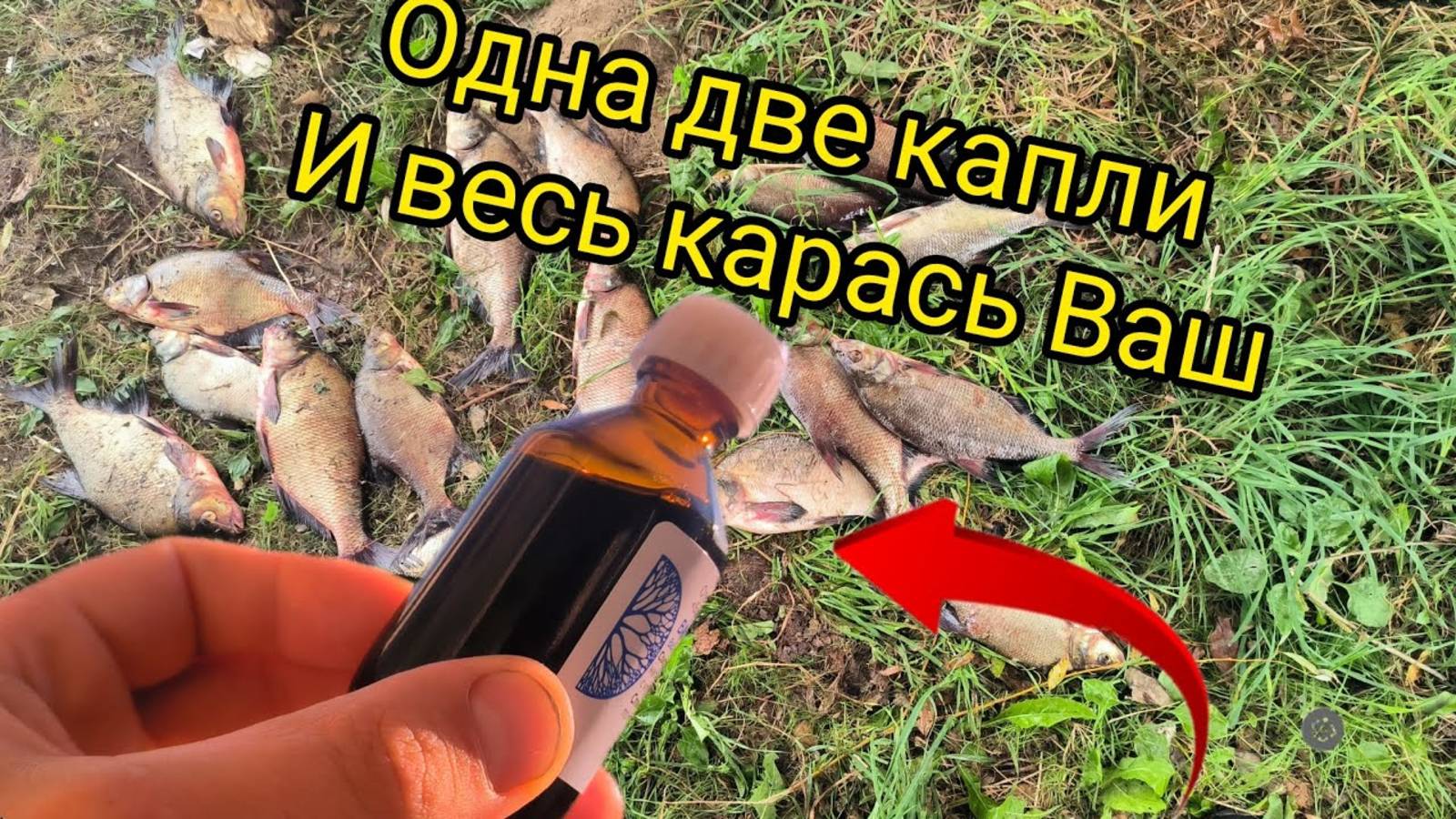 ОТ ЭТОЙ ДОБАВКИ ДУРЕЕТ ВЕСЬ КАРАСЬ.ОДНА ДВЕ КАПЛИ И БЕШЕНЫЙ КЛЁВ ВАМ ОБЕСПЕЧЕН.