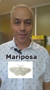 Назови быстрее нас - насекомые на португальском!