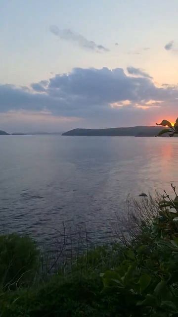 #sunset #sea #приморскийкрай #nature #мыстобизина #forest