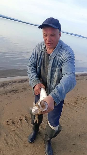 И снова большая рыба