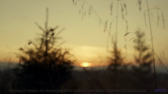 Звук заставляет дышать глубже на каждом кадре - Celebracio 2 (XVIII) -- opo -- Estudios Indigeniform