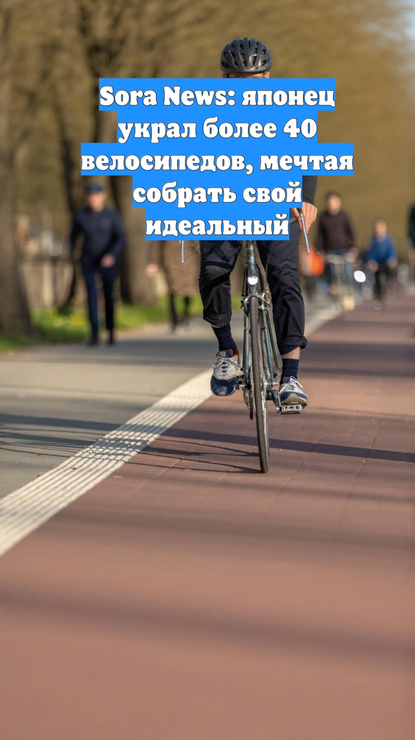Sora News: японец украл более 40 велосипедов, мечтая собрать свой идеальный