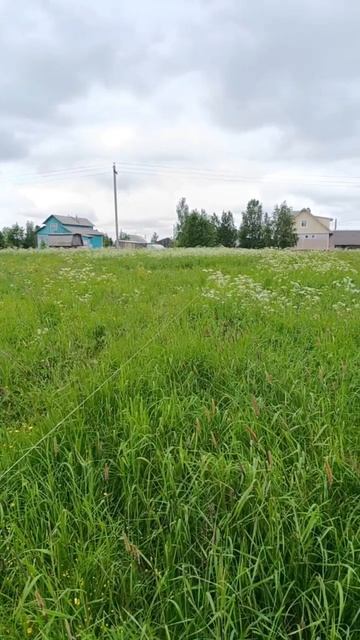 Уникальный участок площадью 15 соток в живописной деревне Бурмачевская