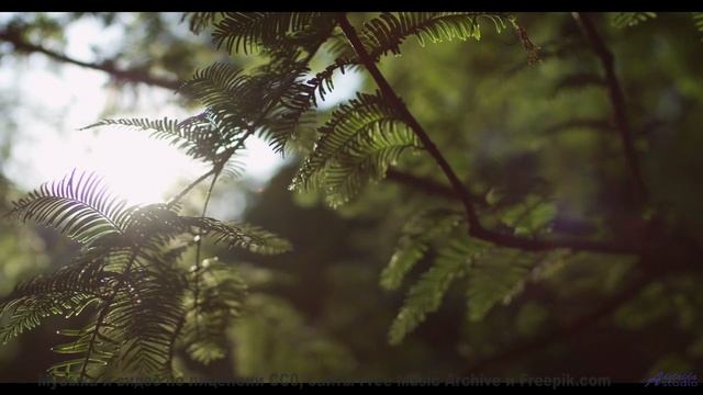 Трек переносит туда, куда самолёты не долетают - Reflections -- Scott Holmes Music -- Indie-Pop + Ac