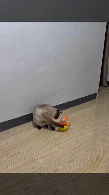 ТЕСТИРОВАНИЕ УДАЛОСЬ