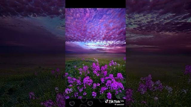 1000987974.mp4
