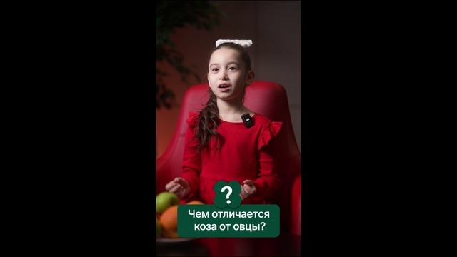 Чем отличается коза от овцы?
