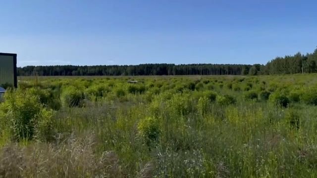 земельный участок. Городецкий район, Скипино