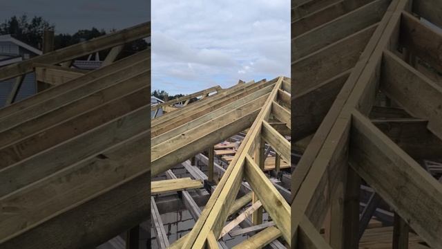 video_2025-06-20_11-20-58