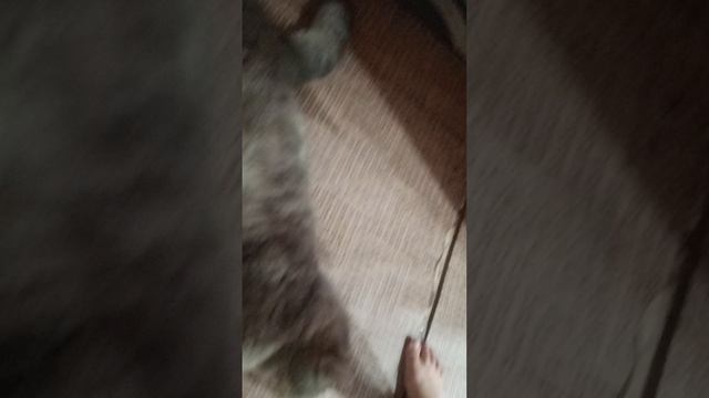 мой зайка