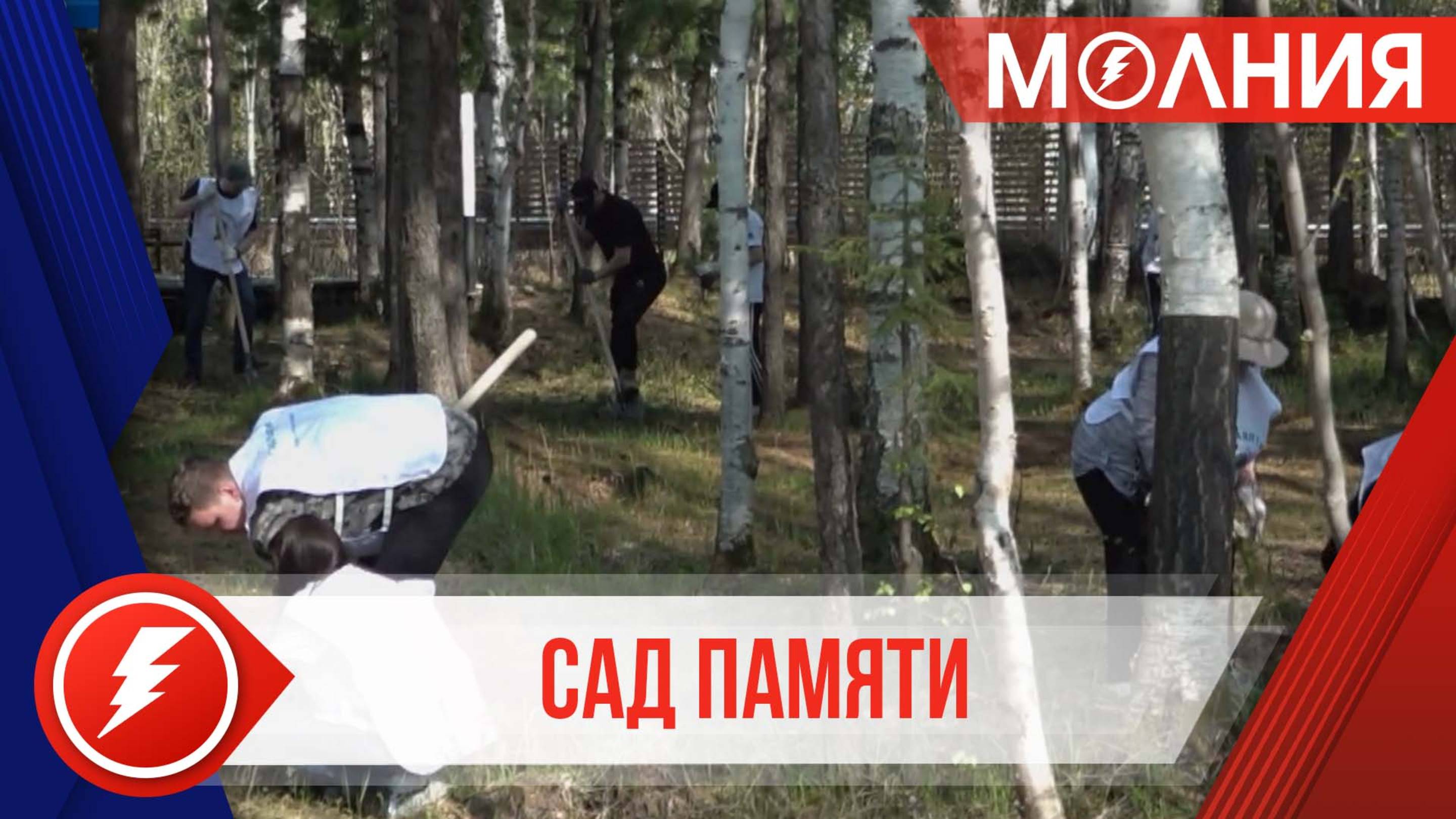 В рамках акции «Сад памяти» таркосалинцы высадили 500 деревьев в парке «Здоровье»