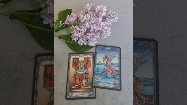 Раки ♋, ваша неделя с 23 по 29 июня.