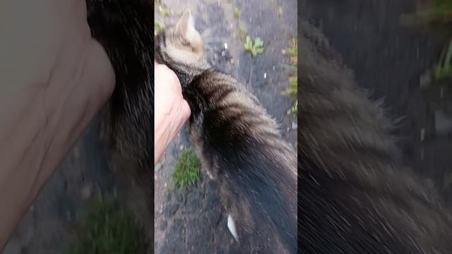 1000752109.mp4
