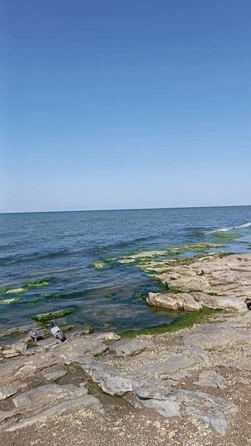 19.06.2025 МАХАЧКАЛА ГОРОДСКОЙ ПЛЯЖ 🌊 #махачкала #reels