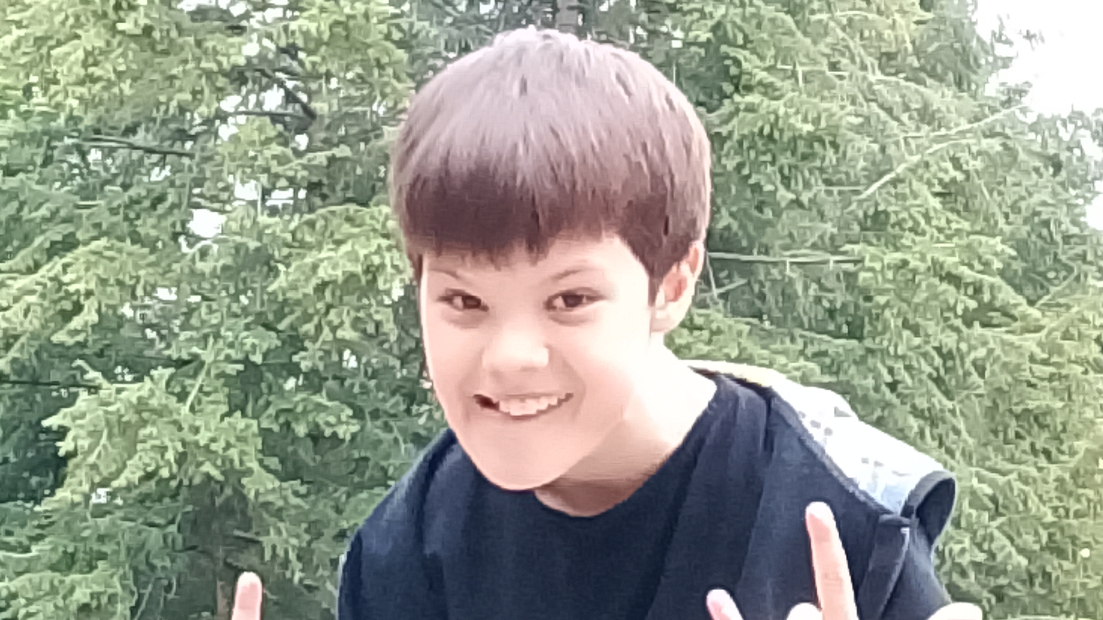 забор