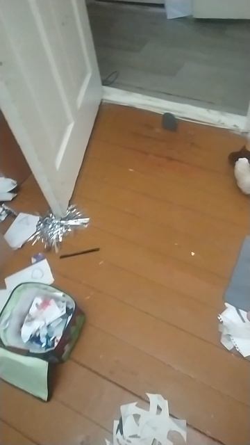 VID_20250619_191254.mp4