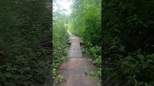 До работы-  хлопоты дома