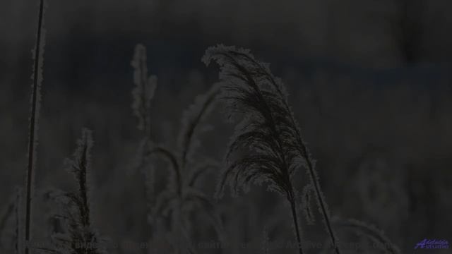 Линии полей и лесов соединяются в одном ритме - Superblasters From The Heart -- Origami Repetika --