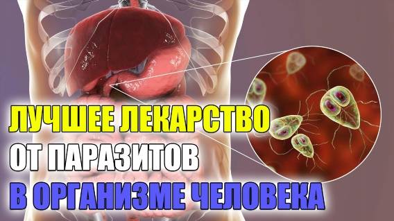 ПРОТИВОПАРАЗИТАРНАЯ ПРОФИЛАКТИКА