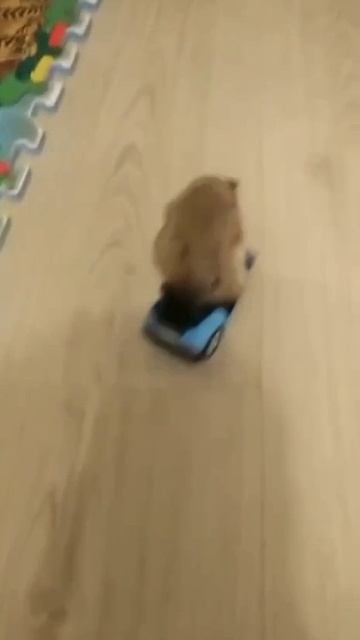 1000032713.mp4