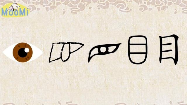 Chinese Character Evolution and Strokes mu ⧸ eye, look, division, topic