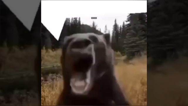 уааааа