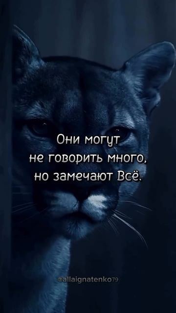 Мудрые слова