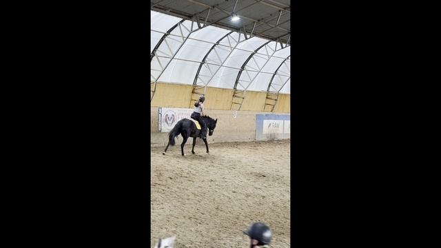 Отвела дочек на занятия по конному спорту