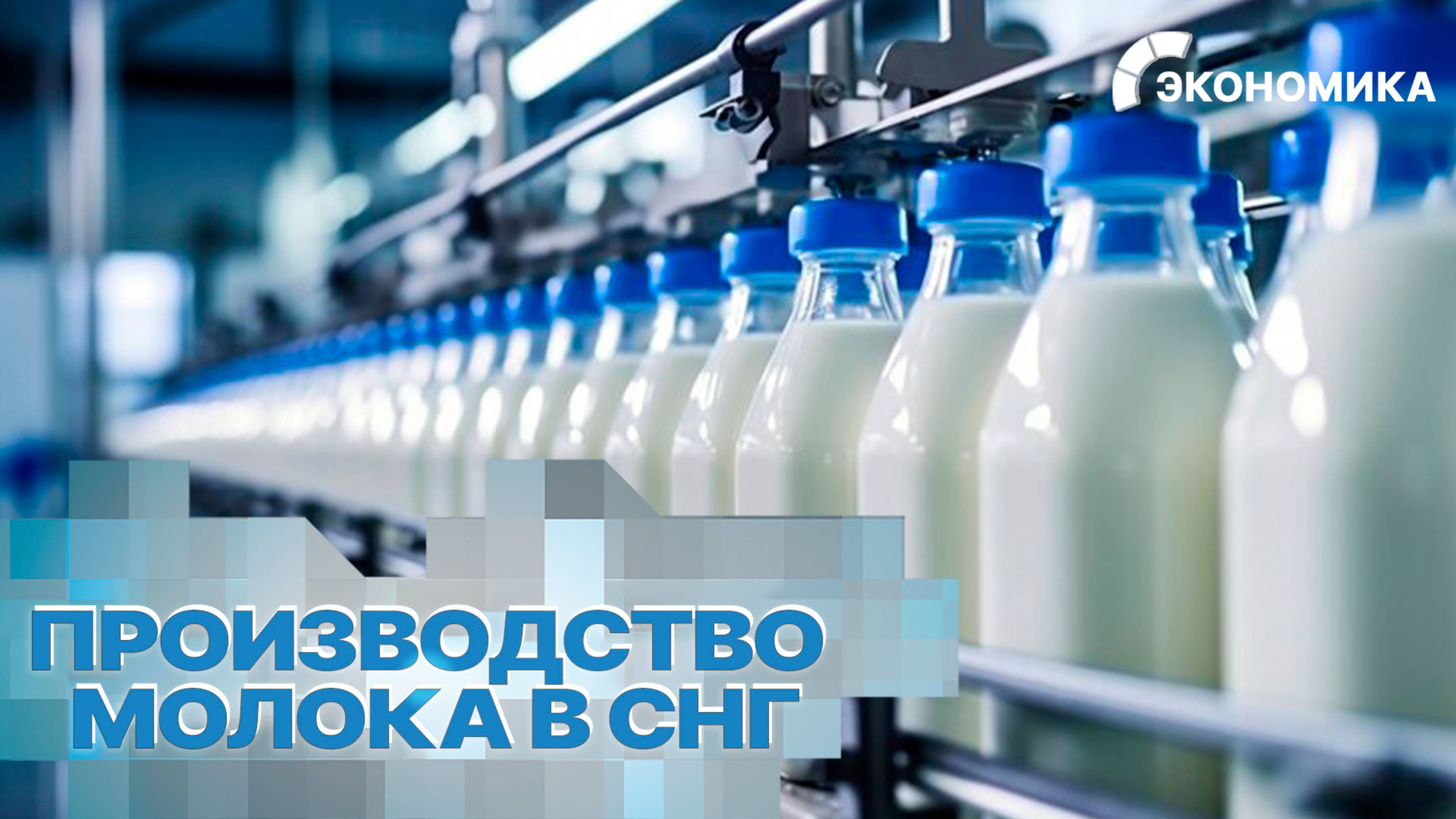 В странах СНГ увеличилось производство молока в 2025 году | Вместе выгодно