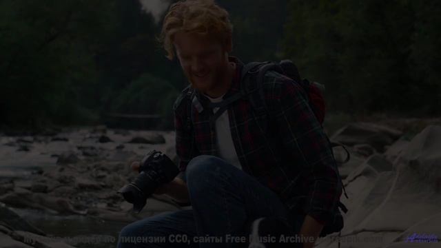 Когда карта на коленях и его рука на ручке переключения передач - Cmon Josephine -- Duncan Reid and