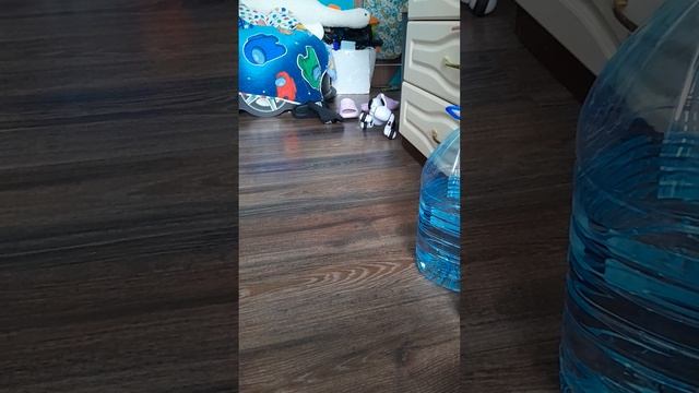 1000010666.mp4