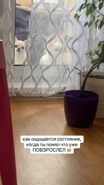 Люблю их очень сильно всех…💔💔💔