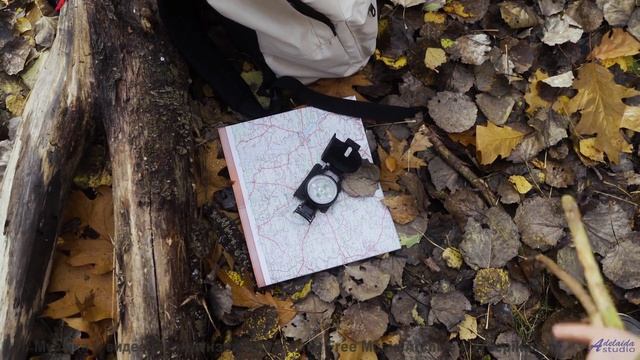 Звуки, которые пробуждают первобытные инстинкты - это дико! - Two Pictures (Re-recording) -- Christi