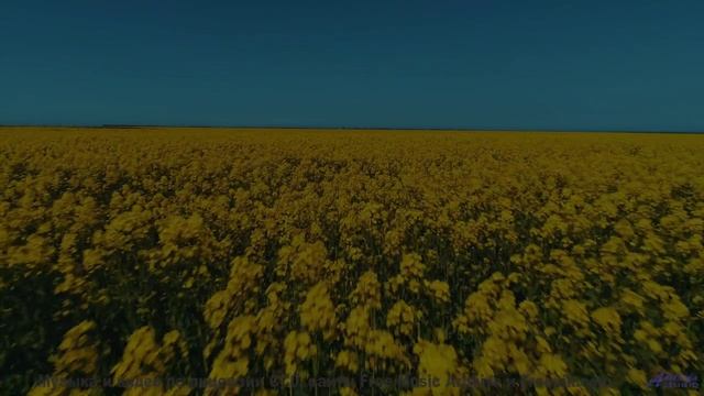 Музыка, которая звучит так же таинственно, как старый лес! - Very -- Chad Crouch -- Motion