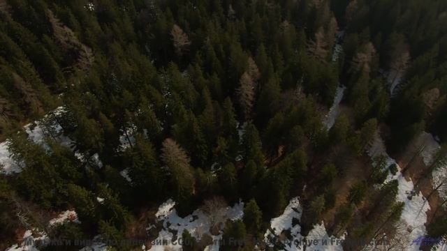Глаза наполняются слезами красоты при таком сочетании - Quemaste las Velas (XXXIII) -- opo -- Estudi