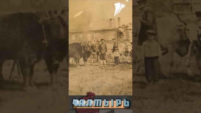 Переселение армян на Дон