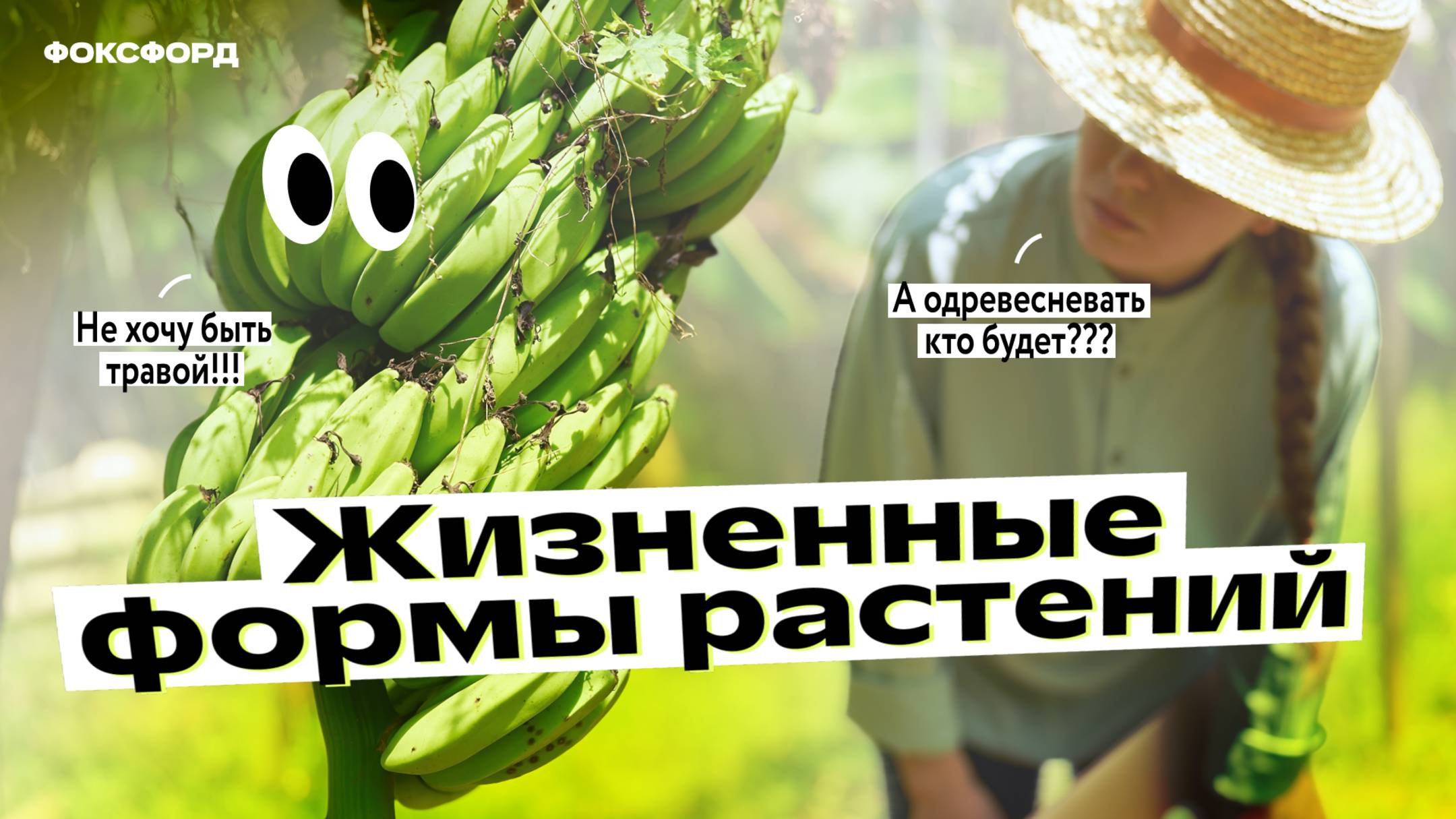 Жизненные формы растений. Биология. 6 класс