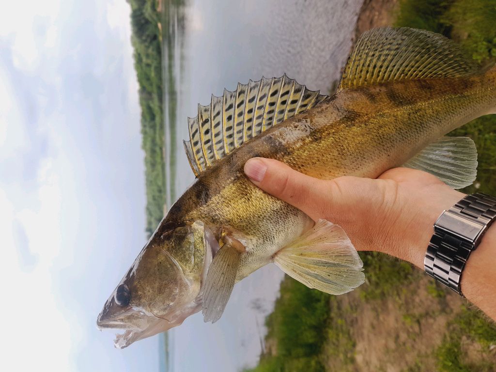рыбалка