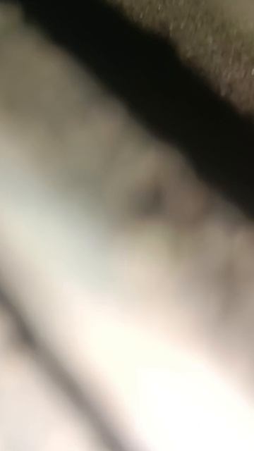 VID-20250617-WA0028